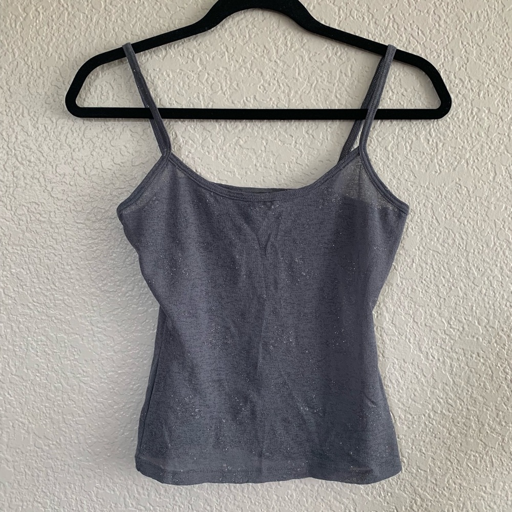 Express World Brand: 90’s Crop Cami Top Silver